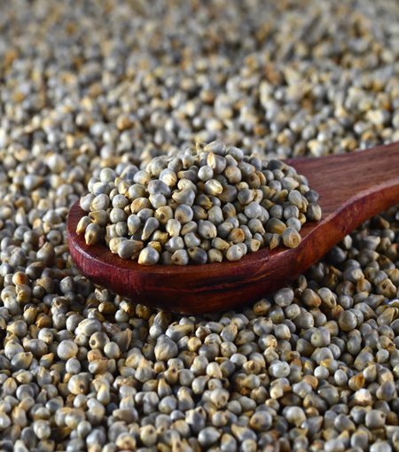 Pearl-Millet