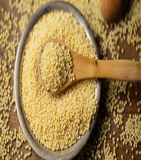 foxtail-millet